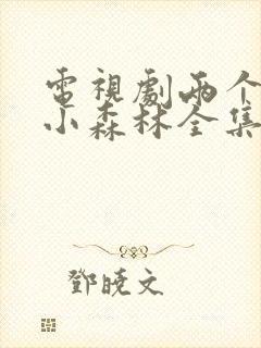 电视剧两个人的小森林全集播放