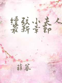 续弦小夫人下载最新章节