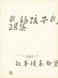 我的孩子我的家28集