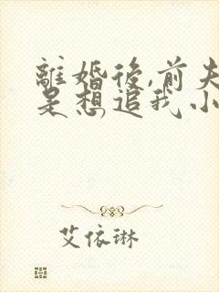 离婚后,前夫总是想追我小说