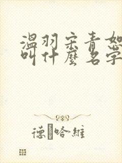 温羽宋青恕短剧叫什么名字