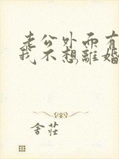 老公外面有人了我不想离婚该怎么办