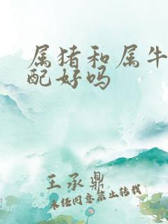 属猪和属牛的婚配好吗