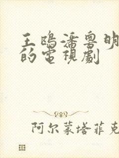 王鸥潘粤明主演的电视剧