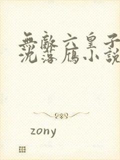 无敌六皇子云铮沈落雁小说全集免费