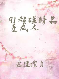 91超碰精品国产成人