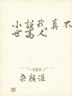 小说我真不是盖世高人 小说我真不是盖世高人