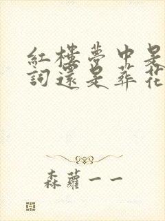 红楼梦中是葬花词还是葬花吟