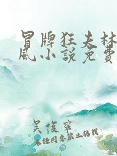 冒牌狂夫林悦顾风小说免费阅读