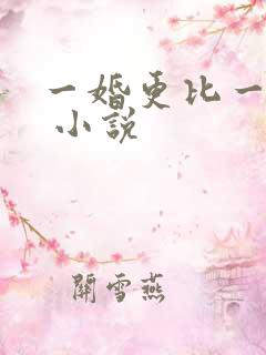 一婚更比一婚高 小说