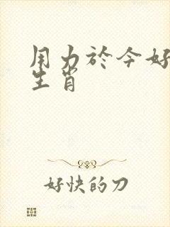 用力于今好画龙生肖 用力于今好画龙生肖