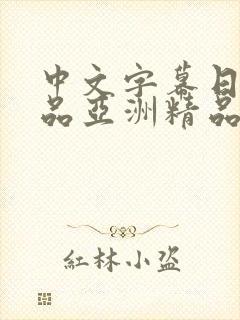 中文字幕日韩精品亚洲精品