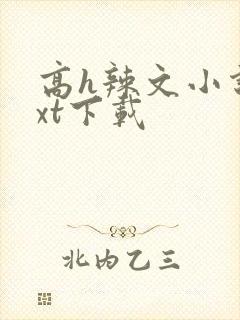 高h辣文小说txt下载