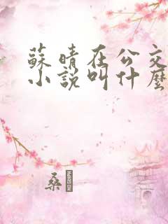 苏晴在公交上的小说叫什么