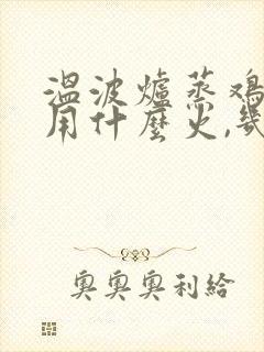 温波炉蒸鸡蛋羹用什么火,几分钟