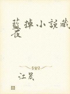 蓝掉小说藏于昼夜