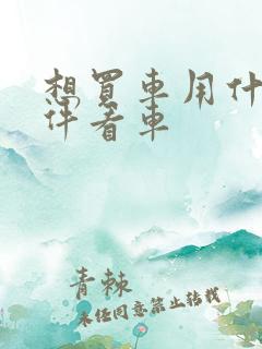 想买车用什么软件看车