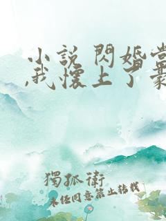 小说 闪婚当天,我怀上了豪门继承人