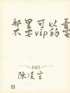 哪里可以看免费不要vip的电视剧