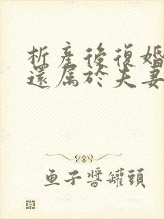 析产后复婚房屋还属于夫妻共同房产吗