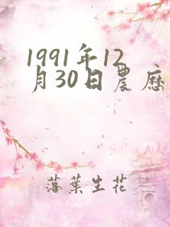 1991年12月30日农历生辰八字