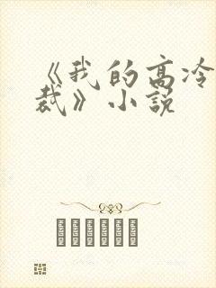 《我的高冷女总裁》小说