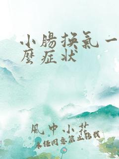 小肠换气一般什么症状 小肠换气一般什么症状