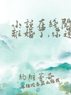 小说在线阅读都离婚了,你还纠缠什么 小说在线阅读都离婚了,你还纠缠什么