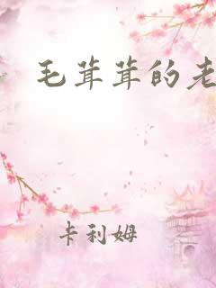 毛茸茸的老太