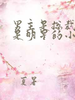 男主是总裁女主是明星的小说 男主是总裁女主是明星的小说