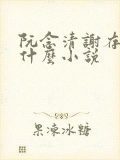 阮念清谢存旭是什么小说 阮念清谢存旭是什么小说