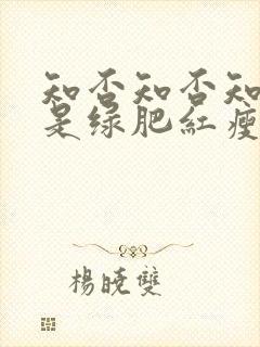 知否知否知否应是绿肥红瘦 原著