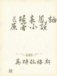 《归来凤栖处》原著小说
