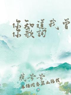 你知道我曾爱着你歌词