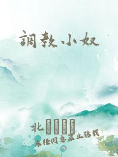 调教小奴