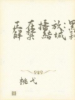 正在播放:黑人解禁 结城莉乃