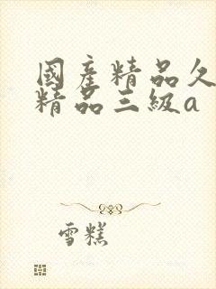 国产精品久久久精品三级a