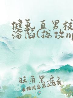 健气直男校草的沦陷(总攻np