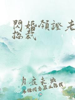 闪婚领证老公是总裁