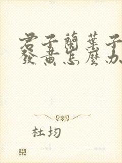 君子兰叶子下垂发黄怎么办