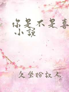 你是不是喜欢我 小说