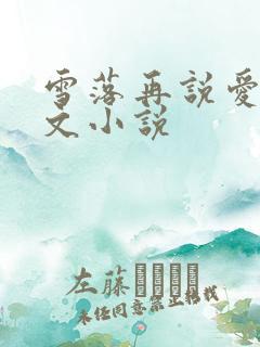 雪落再说爱你全文小说 雪落再说爱你全文小说