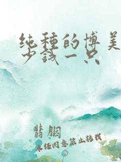 纯种的博美犬多少钱一只