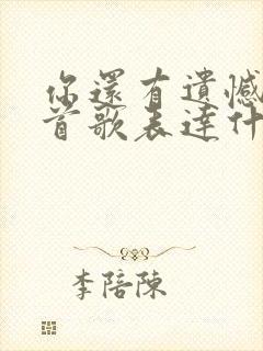 你还有遗憾吗这首歌表达什么意思