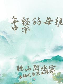 年轻的母亲韩剧中字 年轻的母亲韩剧中字