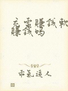 充电赚钱软件能赚钱吗