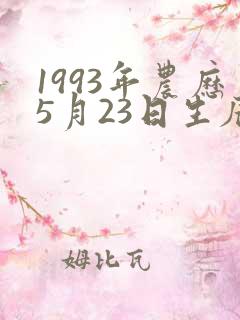 1993年农历5月23日生辰八字
