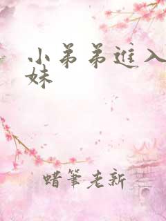 小弟弟进入小妹妹