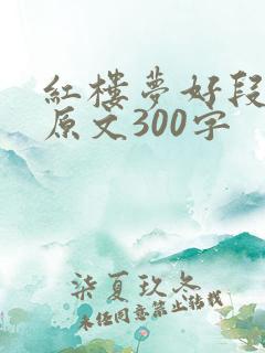 红楼梦好段摘抄原文300字