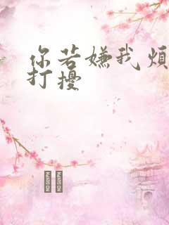 你若嫌我烦我不打扰
